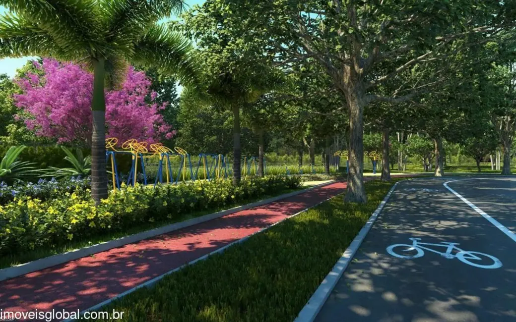 Foto 4 de Lote de Condomínio à venda, 250m2 em Adrianópolis, Manaus - AM