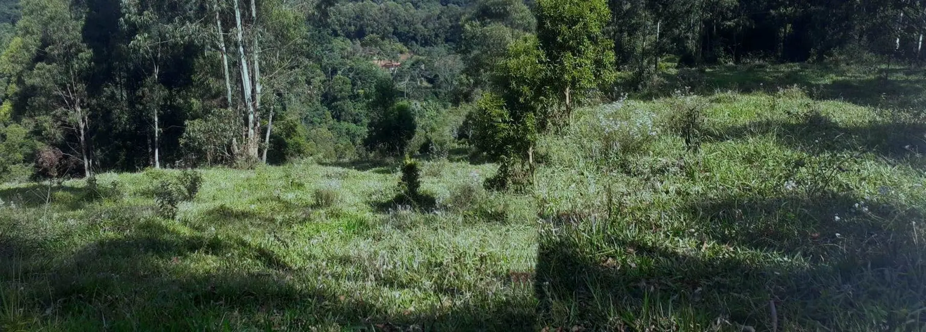 Sítio / Rancho à venda, 20000m2 em Colinas, Pocos De Caldas - MG - imagem 3 Foto 3 de Sítio / Rancho à venda, 20000m2 em Colinas, Pocos De Caldas - MG