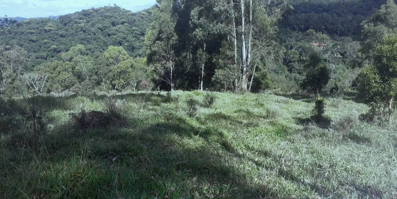 Sítio / Rancho à venda, 20000m2 em Colinas, Pocos De Caldas - MG - imagem 8 Foto 8 de Sítio / Rancho à venda, 20000m2 em Colinas, Pocos De Caldas - MG