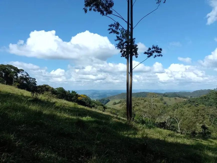 Foto 1 de Sítio / Rancho à venda, 20000m2 em Colinas, Pocos De Caldas - MG