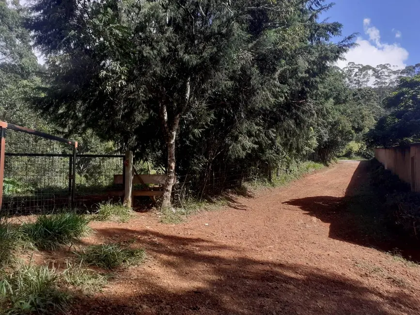 Sítio / Rancho à venda, 20000m2 em Colinas, Pocos De Caldas - MG - imagem 5 Foto 5 de Sítio / Rancho à venda, 20000m2 em Colinas, Pocos De Caldas - MG
