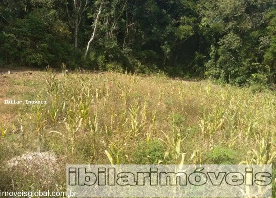 Foto 4 de Sítio / Rancho com 3 quartos à venda, 2200m2 em Centro, Ibiuna - SP