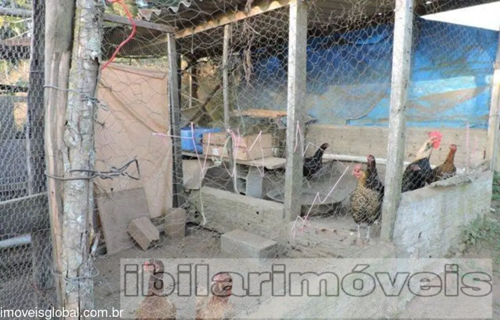 Foto 3 de Sítio / Rancho com 3 quartos à venda, 2400m2 em Centro, Ibiuna - SP