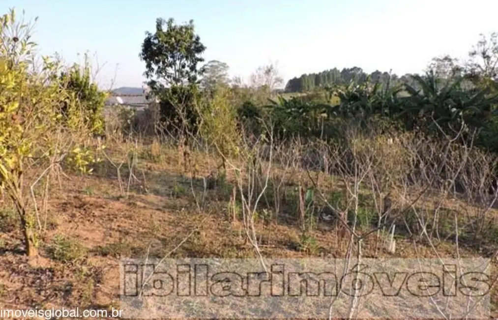 Foto 1 de Sítio / Rancho com 3 quartos à venda, 2400m2 em Centro, Ibiuna - SP