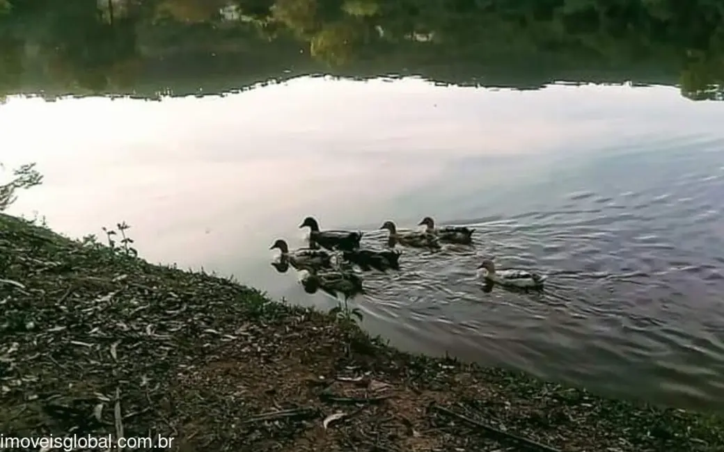 Casa com 3 quartos à venda, 126m2 em Residencial Moenda, Itatiba - SP - imagem 9 Foto 9 de Casa com 3 quartos à venda, 126m2 em Residencial Moenda, Itatiba - SP