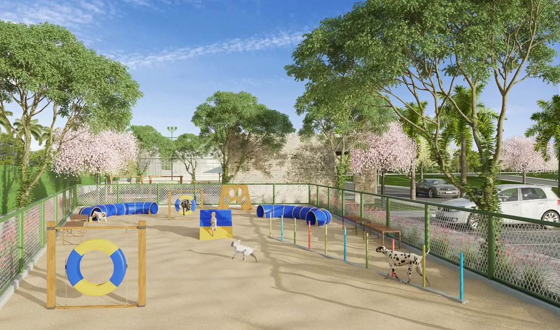 Terreno / Lote à venda, 240m2 em Centro, Sape - PB - imagem 5 Foto 5 de Terreno / Lote à venda, 240m2 em Centro, Sape - PB