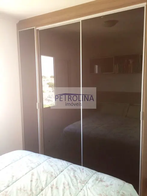 Apartamento com 2 quartos à venda, 51m2 em Parque São Domingos, São Paulo - SP - imagem 4 Foto 4 de Apartamento com 2 quartos à venda, 51m2 em Parque São Domingos, São Paulo - SP