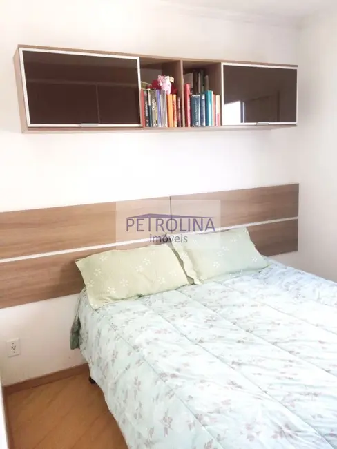 Apartamento com 2 quartos à venda, 51m2 em Parque São Domingos, São Paulo - SP - imagem 7 Foto 7 de Apartamento com 2 quartos à venda, 51m2 em Parque São Domingos, São Paulo - SP