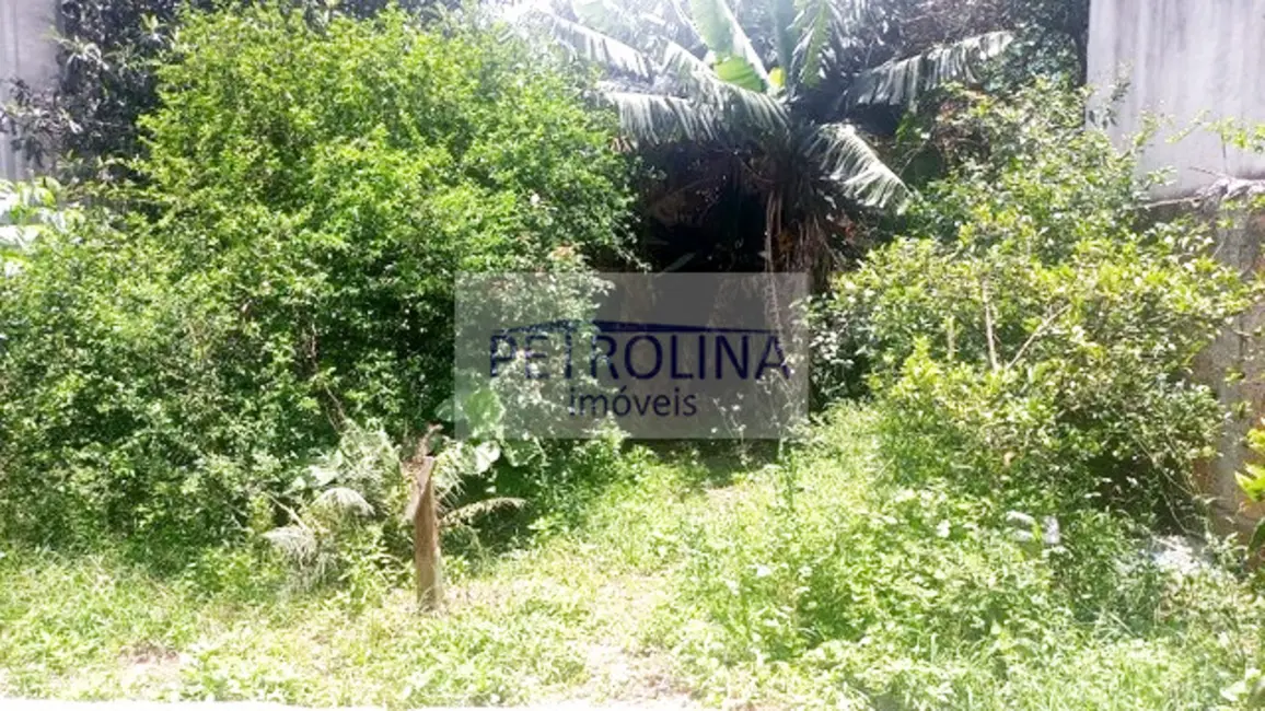 Casa à venda, 152m2 em Brasilândia, São Paulo - SP - imagem 6 Foto 6 de Casa à venda, 152m2 em Brasilândia, São Paulo - SP