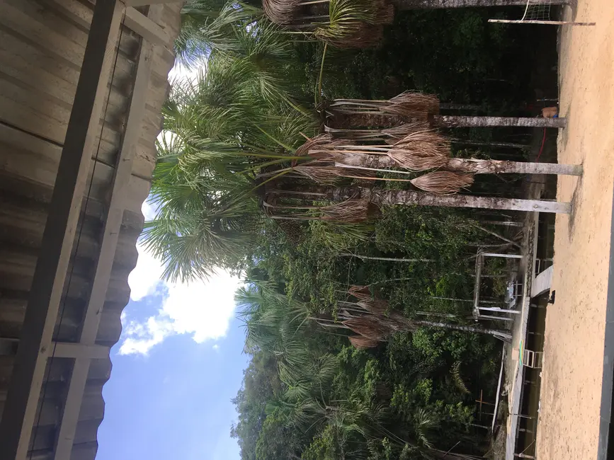 Sítio / Rancho com 3 quartos à venda em Novo Israel, Manaus - AM - imagem 9 Foto 9 de Sítio / Rancho com 3 quartos à venda em Novo Israel, Manaus - AM