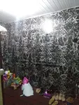 Imagem 4