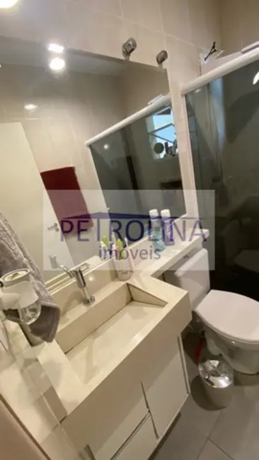 Casa com 3 quartos à venda, 250m2 em Freguesia do Ó, São Paulo - SP - imagem 9 Foto 9 de Casa com 3 quartos à venda, 250m2 em Freguesia do Ó, São Paulo - SP