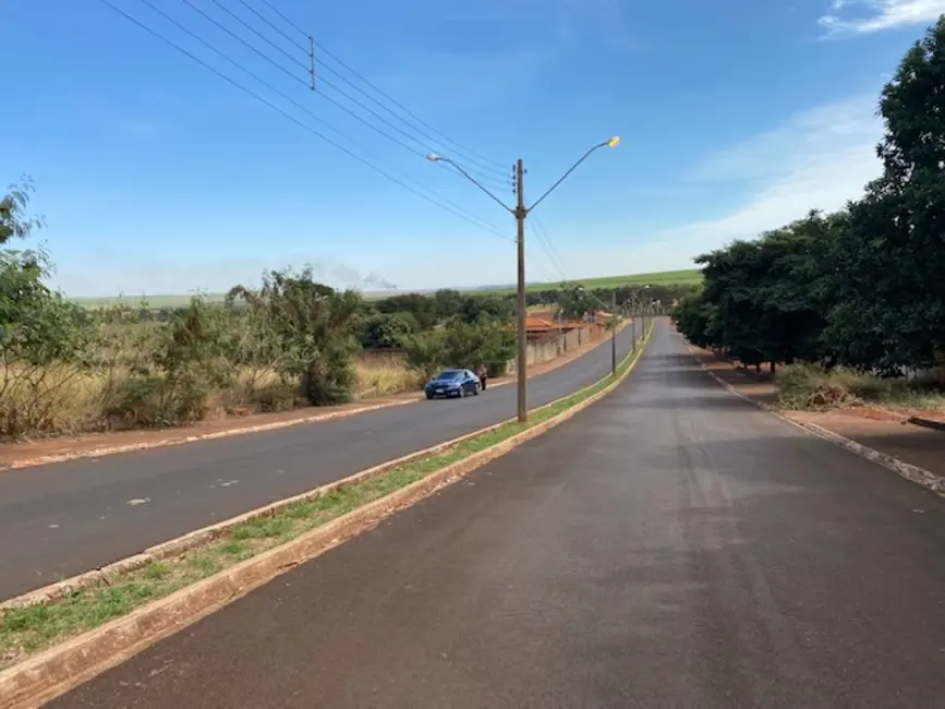 Foto 1 de Terreno / Lote à venda, 3900m2 em Luis Antonio - SP
