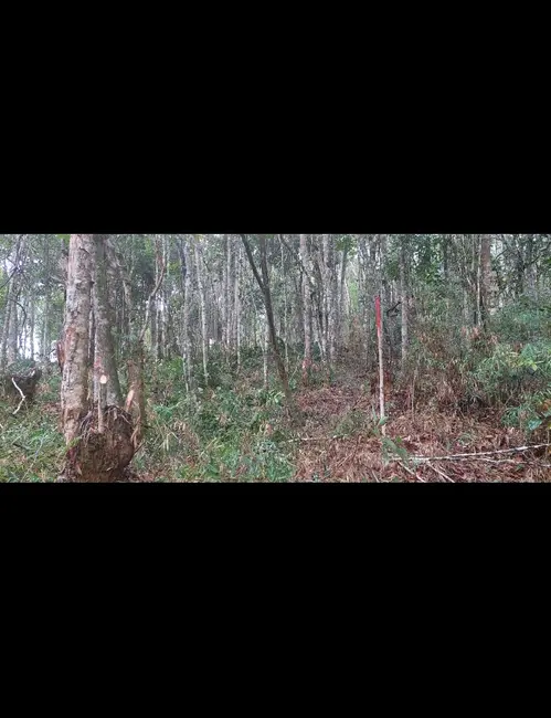 Foto 1 de Terreno / Lote à venda, 1580m2 em Sao Lourenco Da Serra - SP