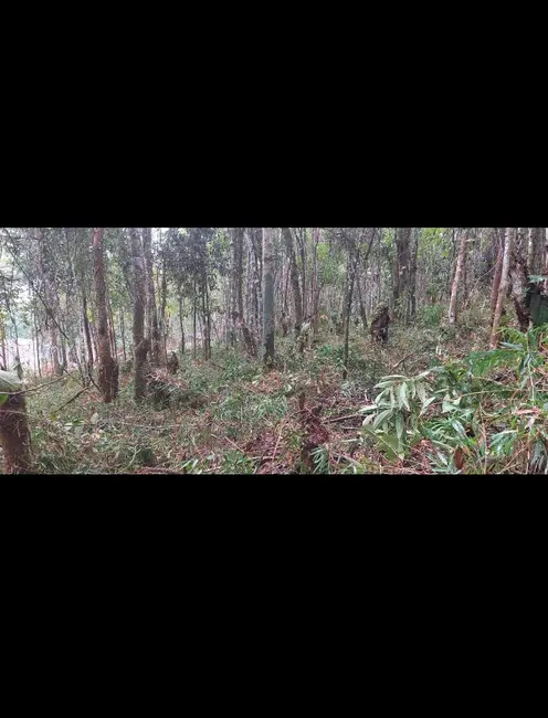 Foto 2 de Terreno / Lote à venda, 1580m2 em Sao Lourenco Da Serra - SP
