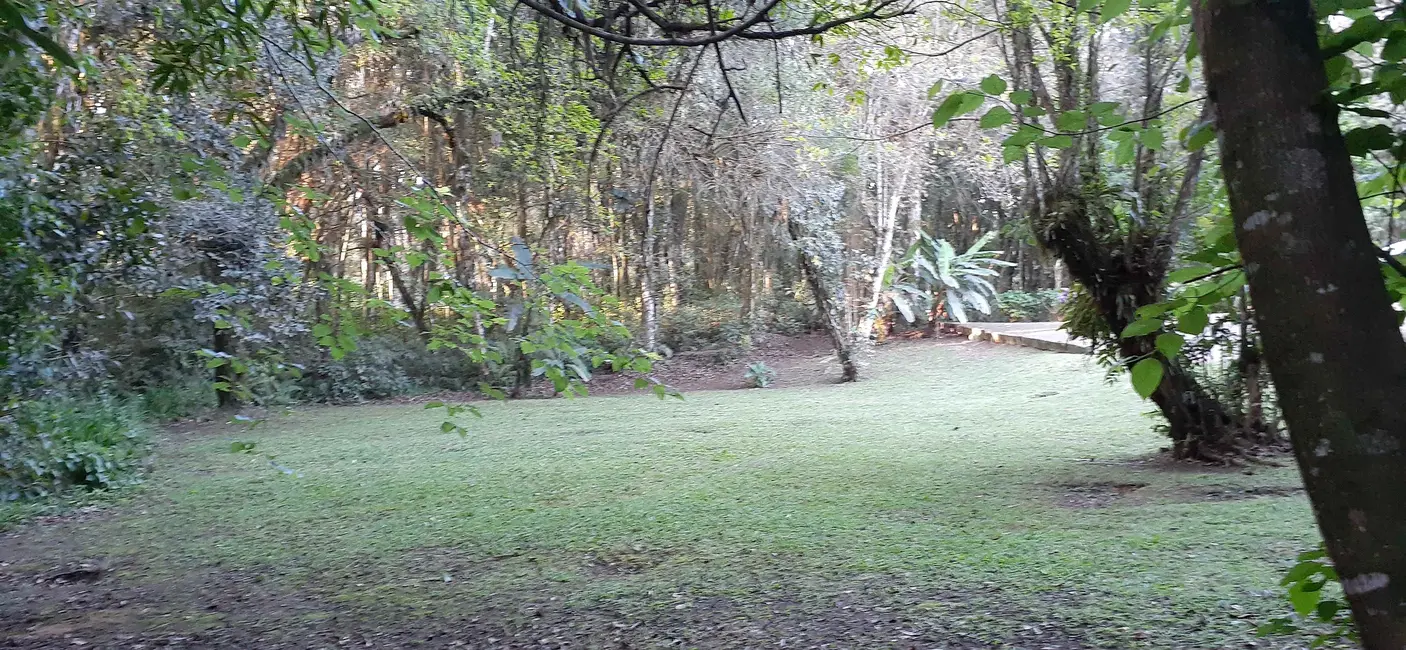 Foto 5 de Sítio / Rancho à venda, 5450m2 em Piraquara - PR