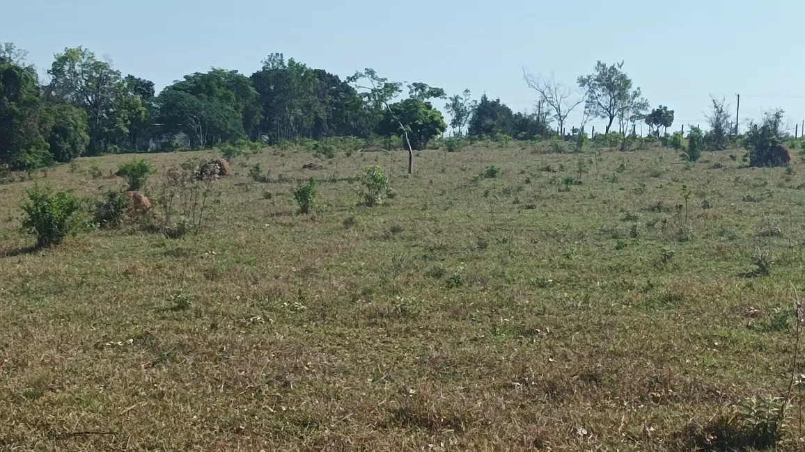 Foto 4 de Fazenda / Haras à venda, 20000m2 em Bofete - SP