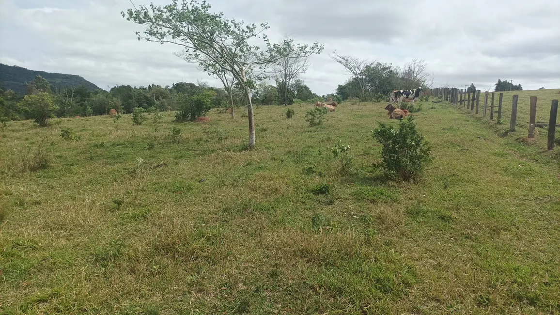 Foto 5 de Fazenda / Haras à venda, 20000m2 em Bofete - SP