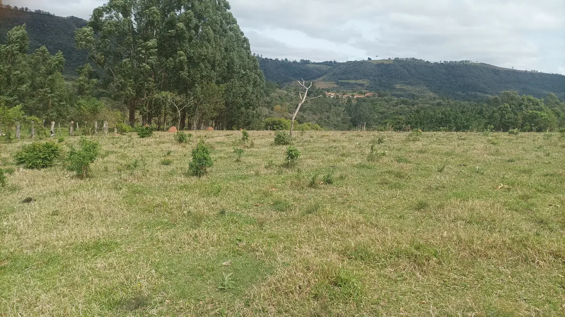 Foto 6 de Fazenda / Haras à venda, 20000m2 em Bofete - SP
