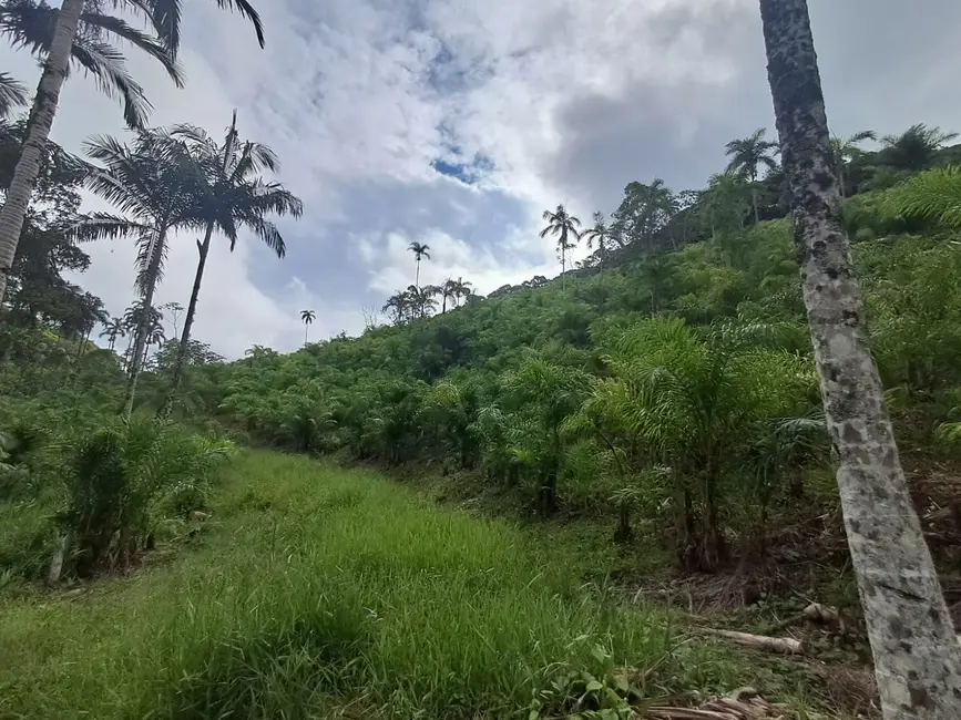 Foto 4 de Terreno / Lote à venda, 384000m2 em Centro, Registro - SP