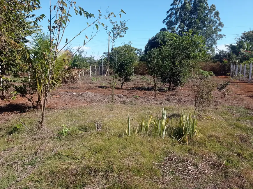 Sítio / Rancho com 1 quarto à venda, 1000m2 em Área Rural de Itumbiara, Itumbiara - GO - imagem 6 Foto 6 de Sítio / Rancho com 1 quarto à venda, 1000m2 em Área Rural de Itumbiara, Itumbiara - GO