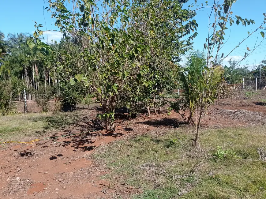 Sítio / Rancho com 1 quarto à venda, 1000m2 em Área Rural de Itumbiara, Itumbiara - GO - imagem 7 Foto 7 de Sítio / Rancho com 1 quarto à venda, 1000m2 em Área Rural de Itumbiara, Itumbiara - GO