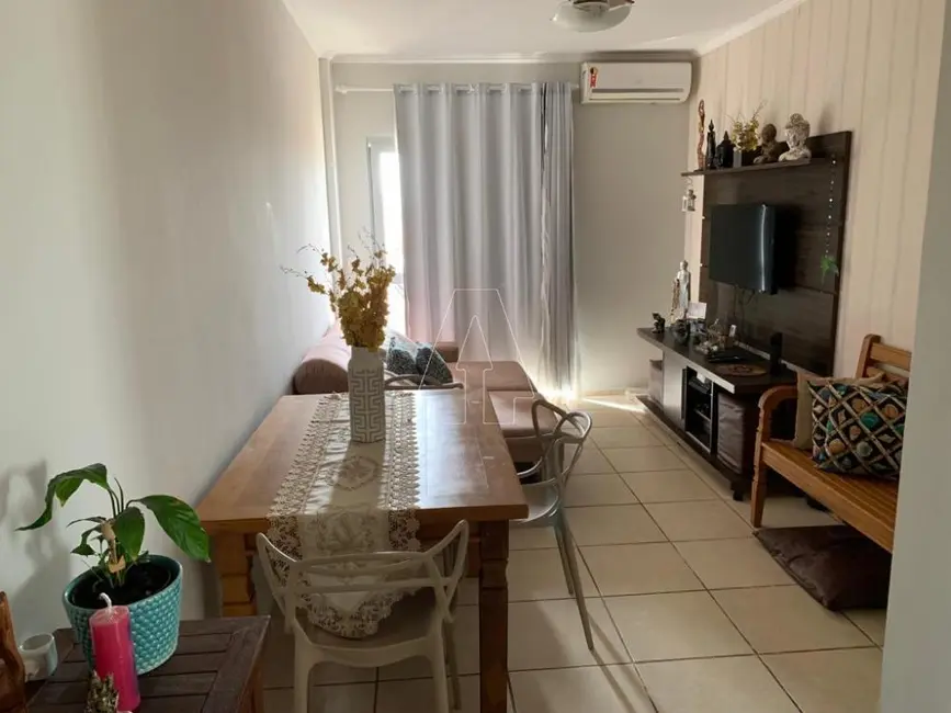 Foto 2 de Apartamento com 2 quartos à venda, 67m2 em Aracatuba - SP