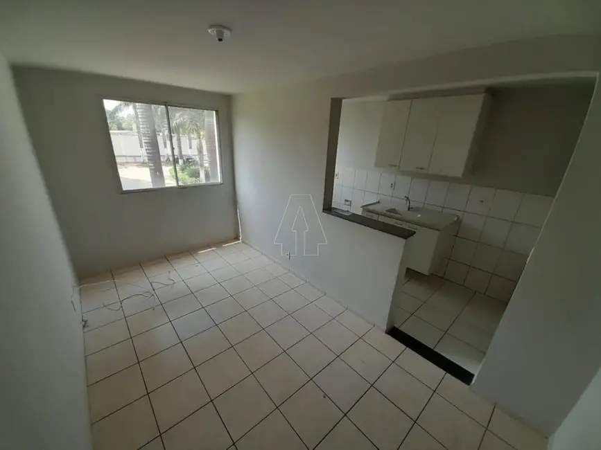 Foto 1 de Apartamento com 2 quartos para alugar, 49m2 em Aracatuba - SP