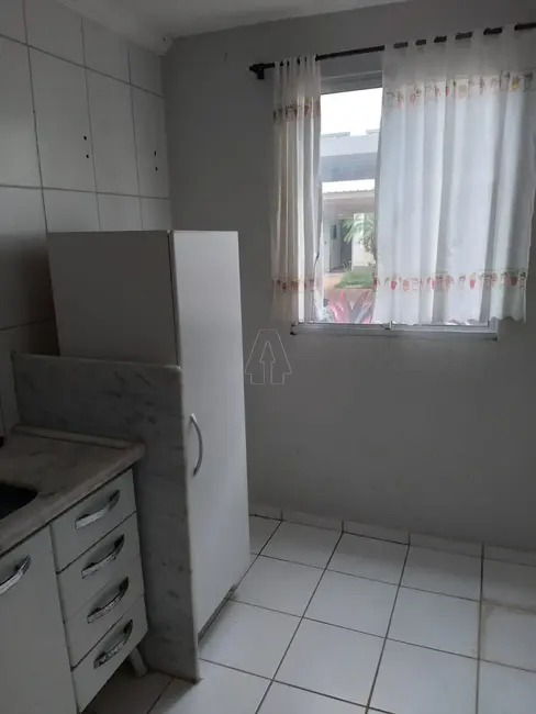 Foto 2 de Apartamento com 1 quarto para alugar, 42m2 em Aracatuba - SP