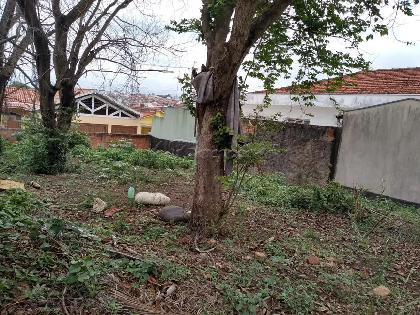 Fazenda / Haras à venda, 225m2 em Vila Ginez, Itapetininga - SP - imagem 4 Foto 4 de Fazenda / Haras à venda, 225m2 em Vila Ginez, Itapetininga - SP