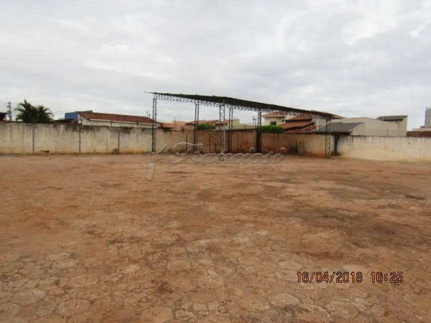 Foto 9 de Fazenda / Haras à venda, 2370m2 em Vila Kalil Halak, Itapetininga - SP