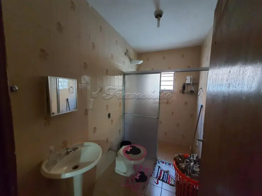 Loja à venda, 315m2 em Jardim Bela Vista, Itapetininga - SP - imagem 8 Foto 8 de Loja à venda, 315m2 em Jardim Bela Vista, Itapetininga - SP