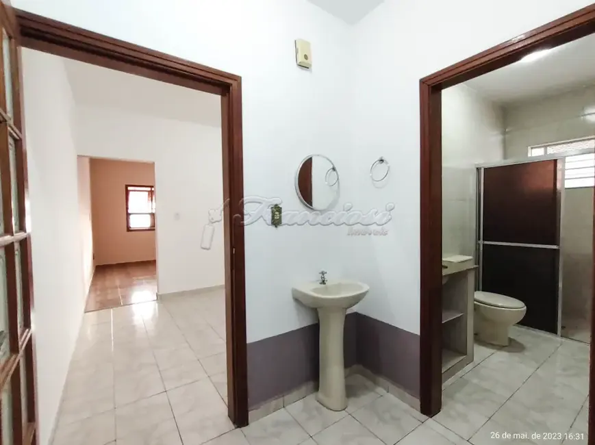 Casa com 3 quartos à venda, 125m2 em Jardim Maricota, Itapetininga - SP - imagem 7 Foto 7 de Casa com 3 quartos à venda, 125m2 em Jardim Maricota, Itapetininga - SP