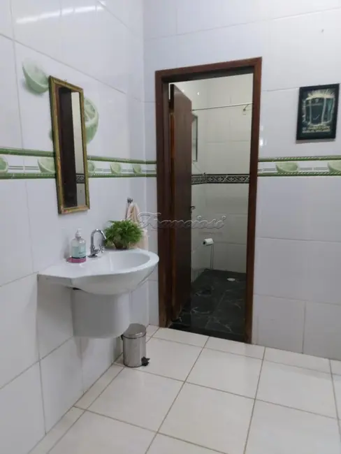 Fazenda / Haras com 3 quartos à venda, 4037m2 em Alambari - SP - imagem 7 Foto 7 de Fazenda / Haras com 3 quartos à venda, 4037m2 em Alambari - SP