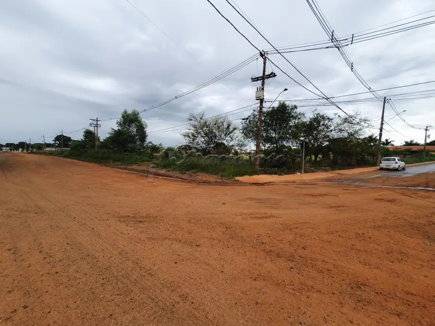 Foto 4 de Fazenda / Haras à venda, 8135m2 em Vila Rica, Itapetininga - SP