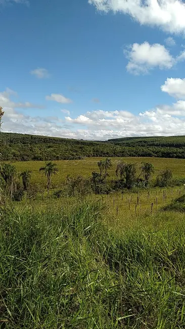 Fazenda / Haras à venda, 24000m2 em Sarapui - SP - imagem 5 Foto 5 de Fazenda / Haras à venda, 24000m2 em Sarapui - SP
