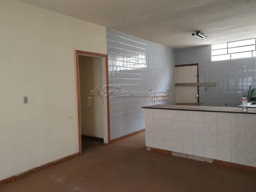 Foto 5 de Casa com 5 quartos à venda, 554m2 em Centro, Itapetininga - SP