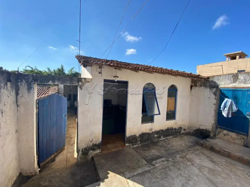 Foto 1 de Fazenda / Haras à venda, 3689m2 em Vila Nova Itapetininga, Itapetininga - SP