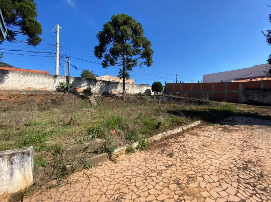 Fazenda / Haras à venda, 3689m2 em Vila Nova Itapetininga, Itapetininga - SP - imagem 6 Foto 6 de Fazenda / Haras à venda, 3689m2 em Vila Nova Itapetininga, Itapetininga - SP