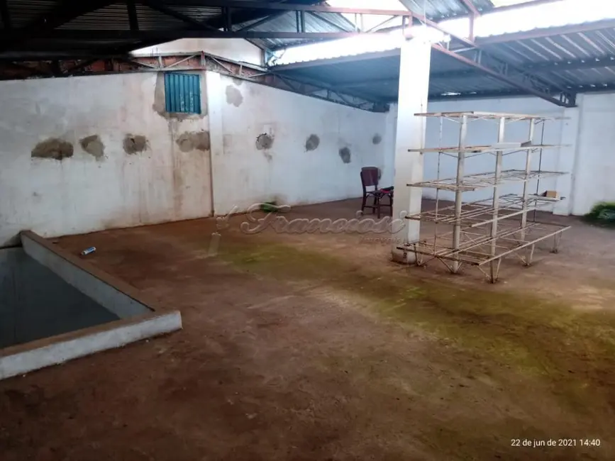 Foto 6 de Prédio Inteiro para alugar, 800m2 em Jardim Brasil, Itapetininga - SP