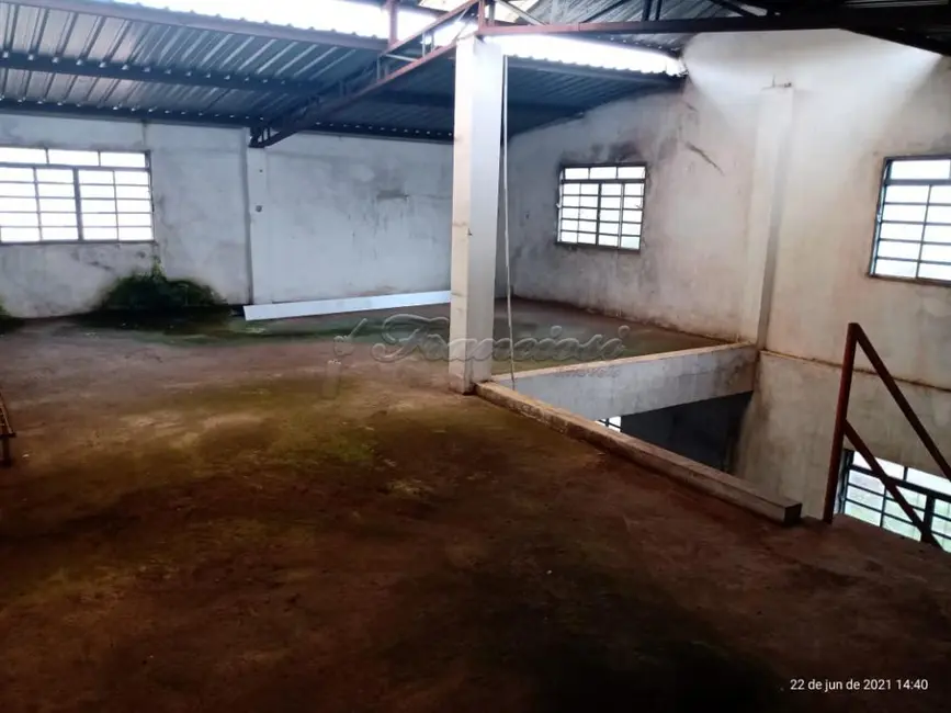 Foto 7 de Prédio Inteiro para alugar, 800m2 em Jardim Brasil, Itapetininga - SP