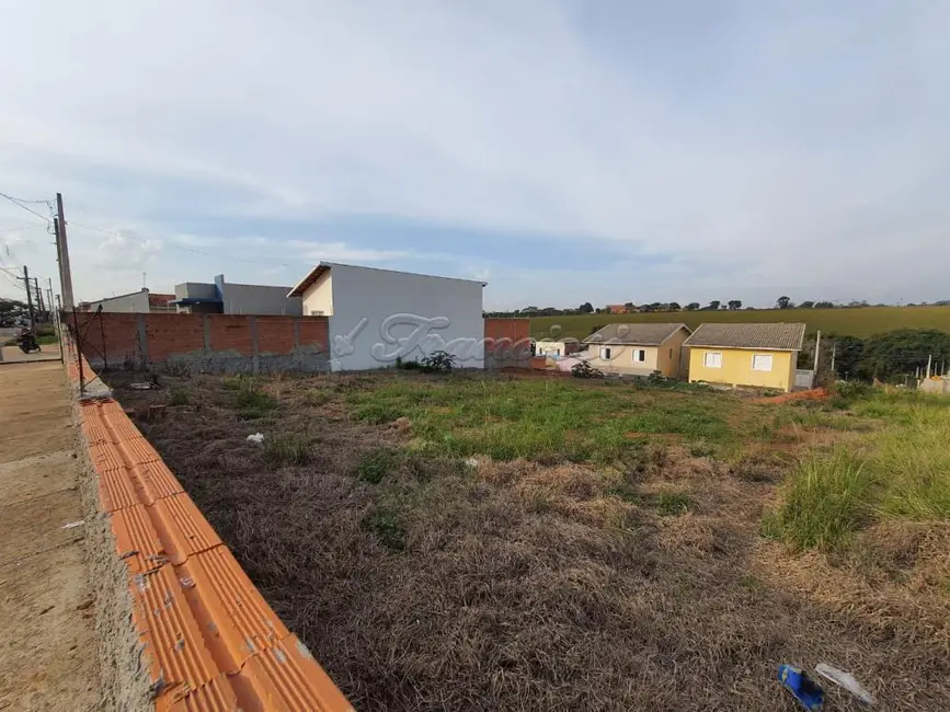 Foto 3 de Fazenda / Haras à venda, 300m2 em Itapetininga - SP