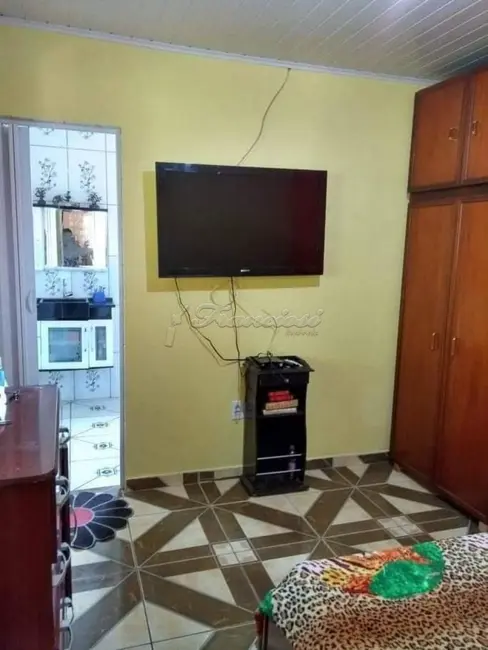 Fazenda / Haras à venda, 3268m2 em Itapetininga - SP - imagem 4 Foto 4 de Fazenda / Haras à venda, 3268m2 em Itapetininga - SP