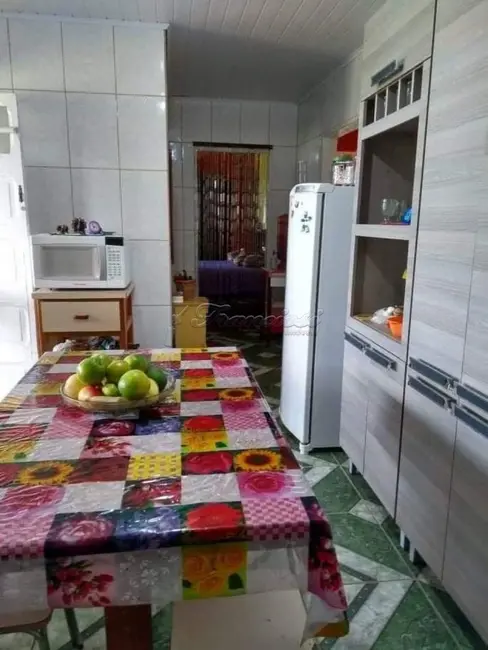 Fazenda / Haras à venda, 3268m2 em Itapetininga - SP - imagem 8 Foto 8 de Fazenda / Haras à venda, 3268m2 em Itapetininga - SP