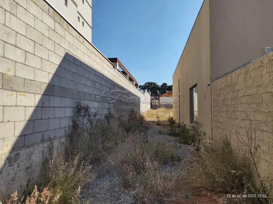 Fazenda / Haras para alugar, 900m2 em Vila Aparecida, Itapetininga - SP - imagem 2 Foto 2 de Fazenda / Haras para alugar, 900m2 em Vila Aparecida, Itapetininga - SP