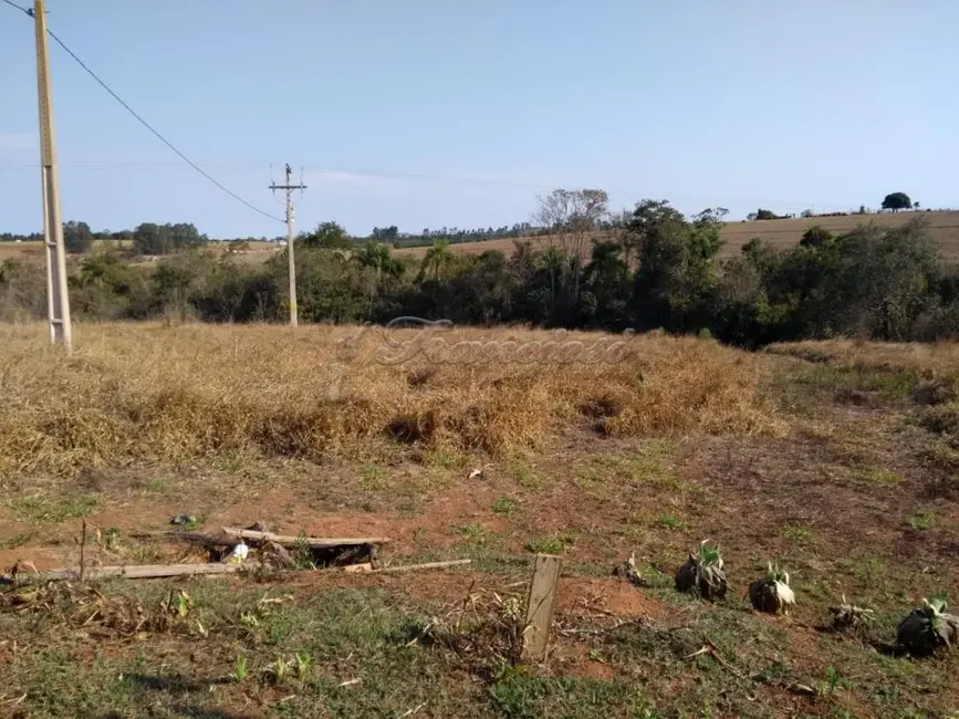 Fazenda / Haras à venda, 48400m2 em Itapetininga - SP - imagem 4 Foto 4 de Fazenda / Haras à venda, 48400m2 em Itapetininga - SP