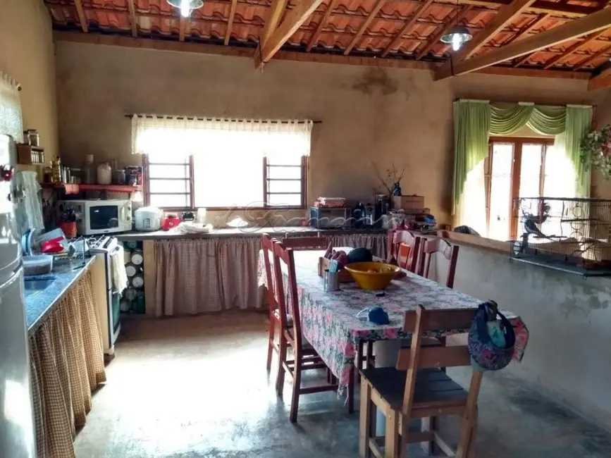 Fazenda / Haras à venda, 48400m2 em Itapetininga - SP - imagem 8 Foto 8 de Fazenda / Haras à venda, 48400m2 em Itapetininga - SP