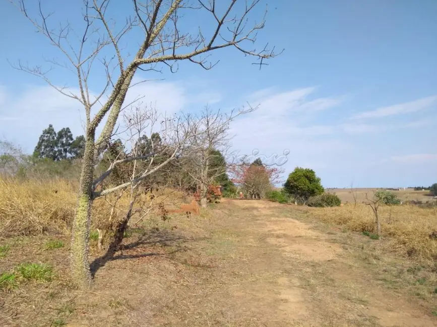 Fazenda / Haras à venda, 48400m2 em Itapetininga - SP - imagem 5 Foto 5 de Fazenda / Haras à venda, 48400m2 em Itapetininga - SP