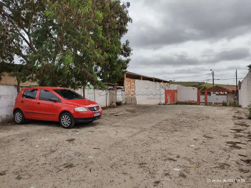 Fazenda / Haras à venda, 390m2 em Vila Hungria, Itapetininga - SP - imagem 3 Foto 3 de Fazenda / Haras à venda, 390m2 em Vila Hungria, Itapetininga - SP