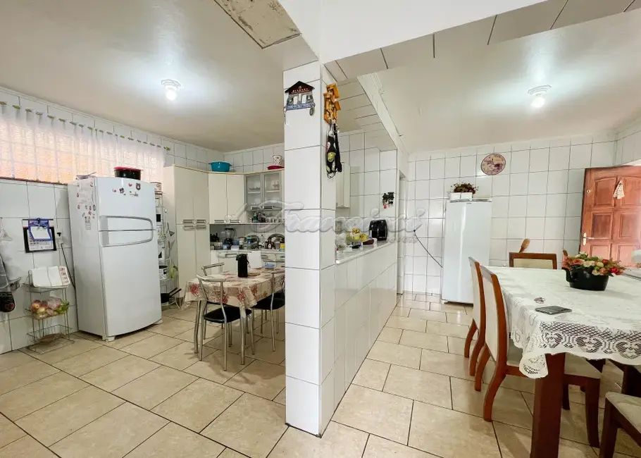Chácara com 4 quartos à venda, 131m2 em Chapada Grande, Itapetininga - SP - imagem 3 Foto 3 de Chácara com 4 quartos à venda, 131m2 em Chapada Grande, Itapetininga - SP